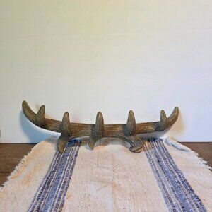 Antler Shaped Wall Hanger